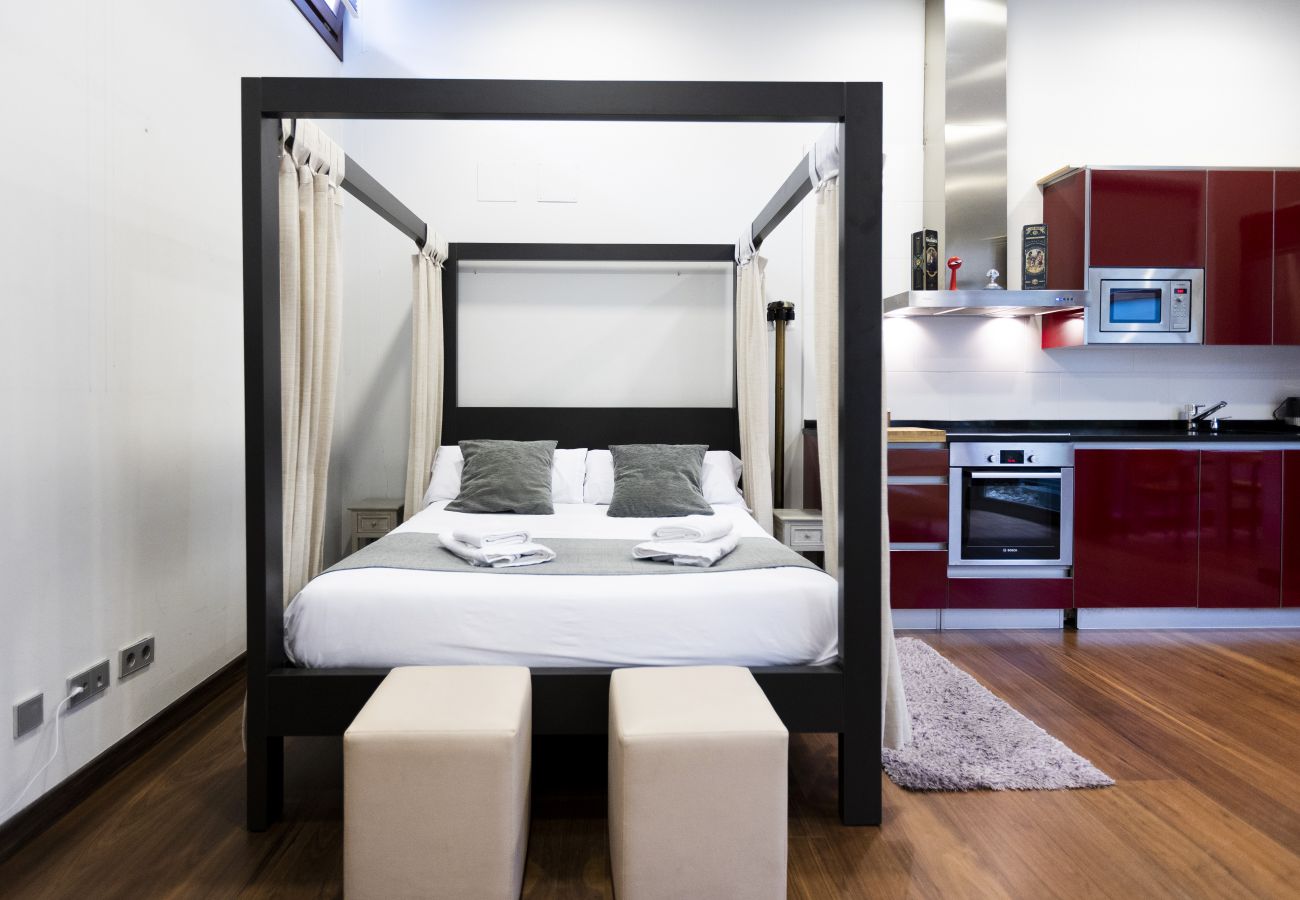 Loft by Basquelidays Loft by Basquelidays