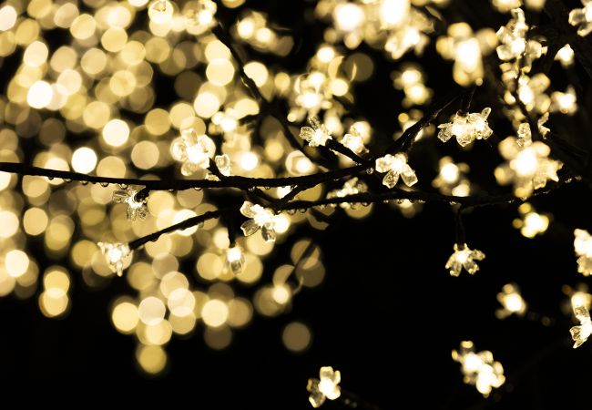 Appartement à Hondarribia - Akartegi by Basquelidays Appartement à Hondarribia - Akartegi by Basquelidays