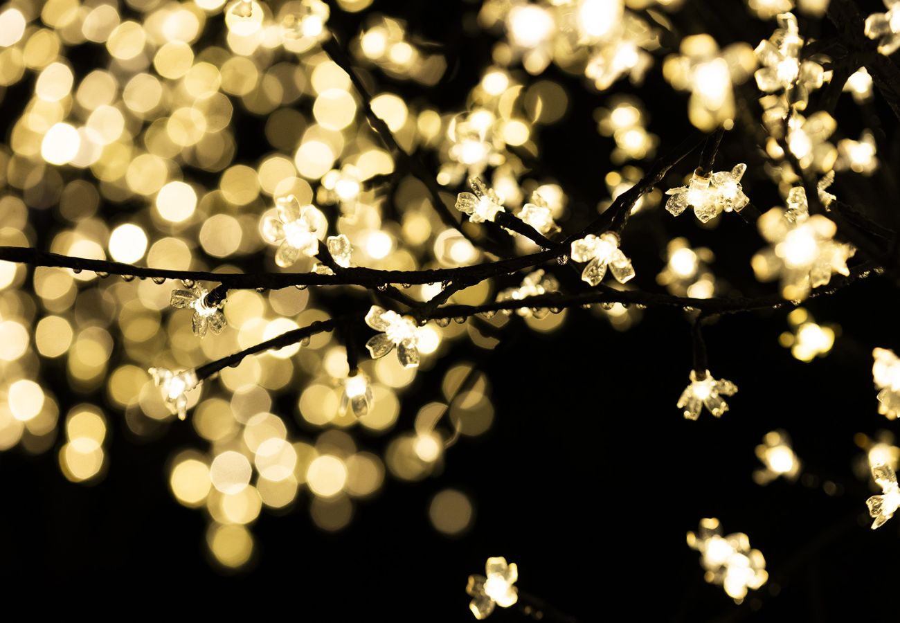 Appartement à Hondarribia - Villa Carmen by Basquelidays Appartement à Hondarribia - Villa Carmen by Basquelidays